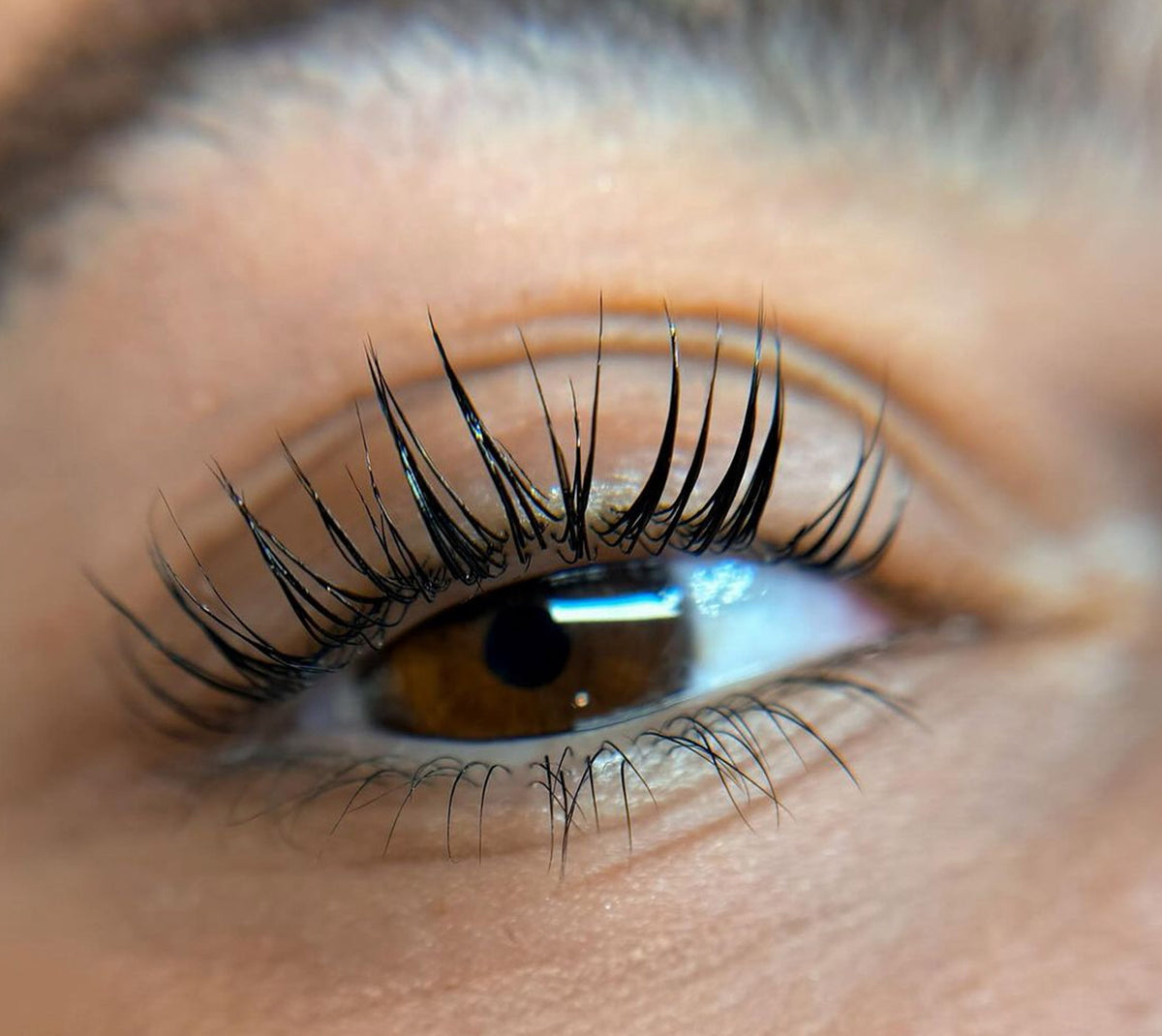 Eyelash treatment results at Nuage Beaty House's non-toxic lash bar